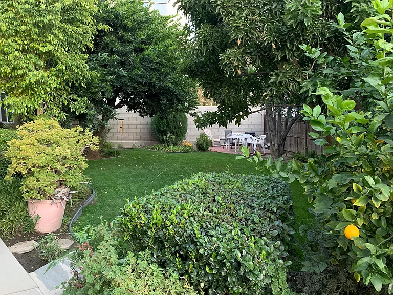 Woodbridge back garden area