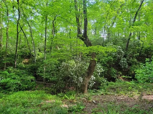 24 Vineyard Dr #5, Dallas, GA 30132