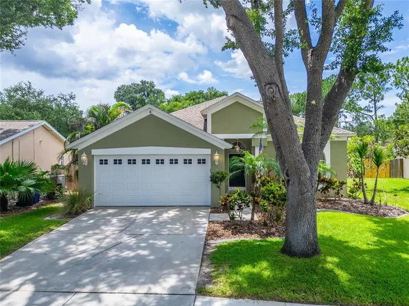 11514 Wellman Dr, Riverview, FL 33578
