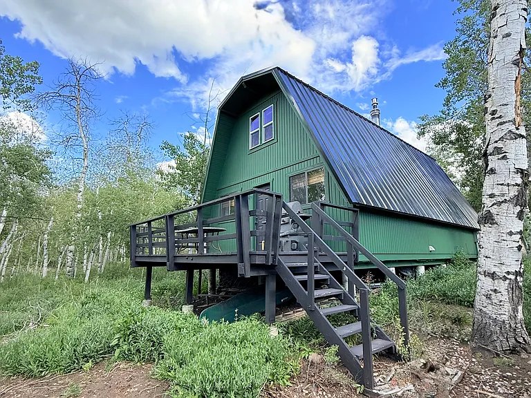 Back deck, mature aspens