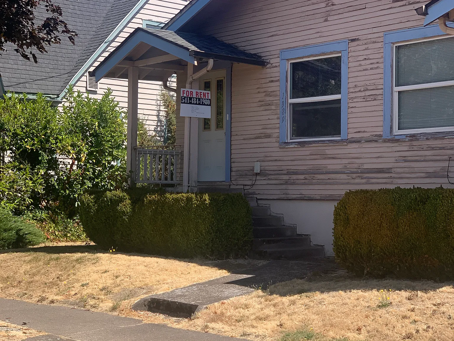 1 bed, 850 sqft, $1,295 — Photo 1