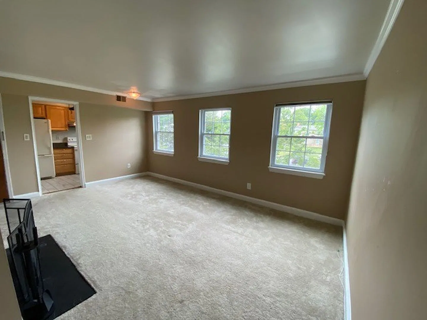 Sunny, spacious 1BR/1BA Condo in Arlington's Precious Palisades Condos w/Parking — Photo 3