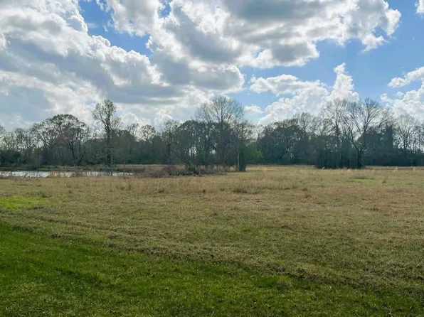 Maglone Ln, Slaughter, LA 70777