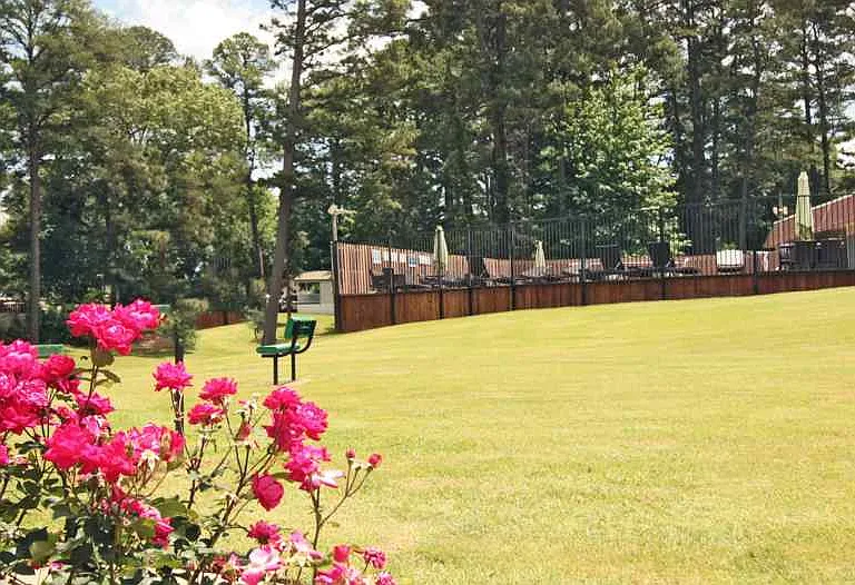 Shiloh Pines — Photo 9