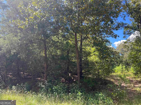 0 Davids Home Church Rd, Comer, GA 30629