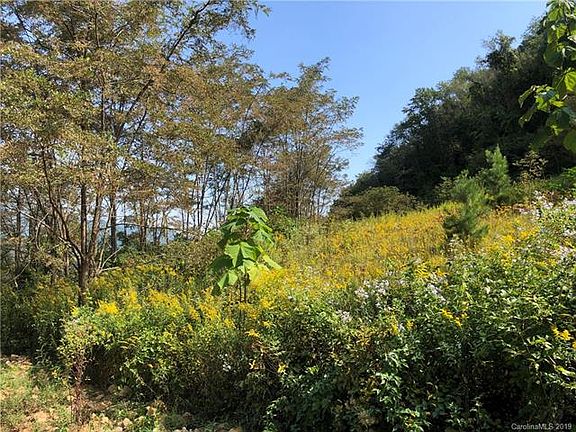 5th image of 15 Winesap Ln #7