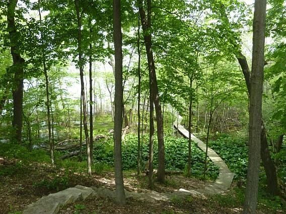 2nd image of 1430 N Jenkins Dr