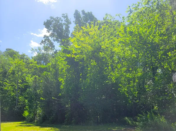 0 Singletary Dr, Moncks Corner, SC 29461