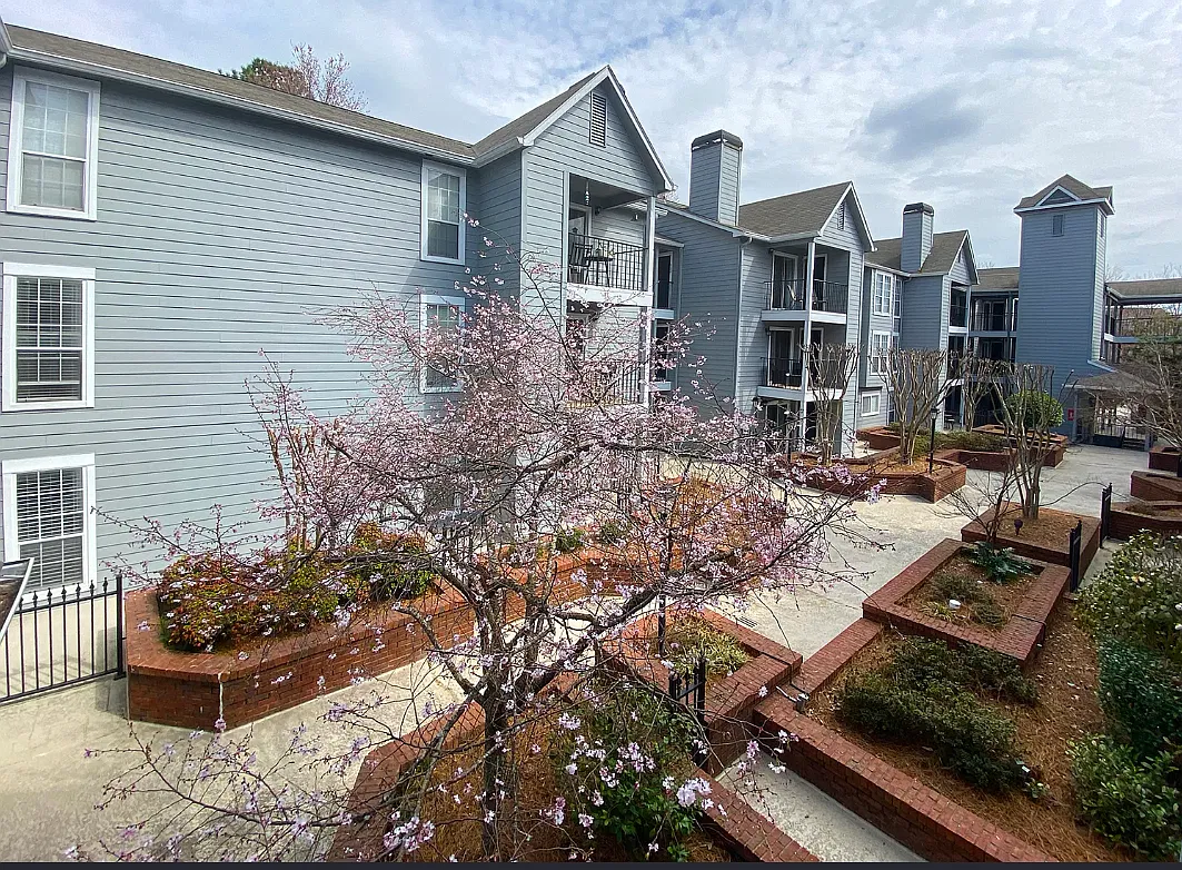 1 bed, 650 sqft, $1,450 — Photo 1