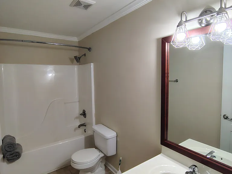 201 Wild Olive Dr — Photo 7