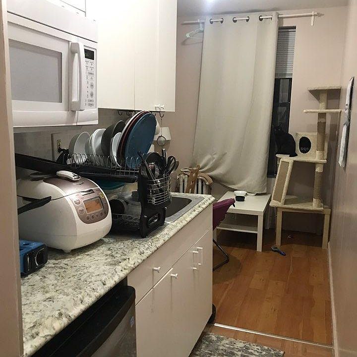 1st image of 3351 Prince St APT B4