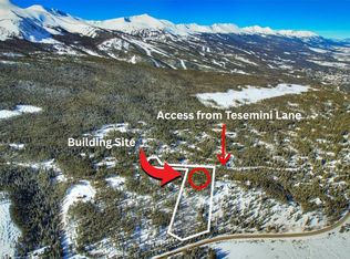 62 Tesemini Ln, Breckenridge, CO 80424