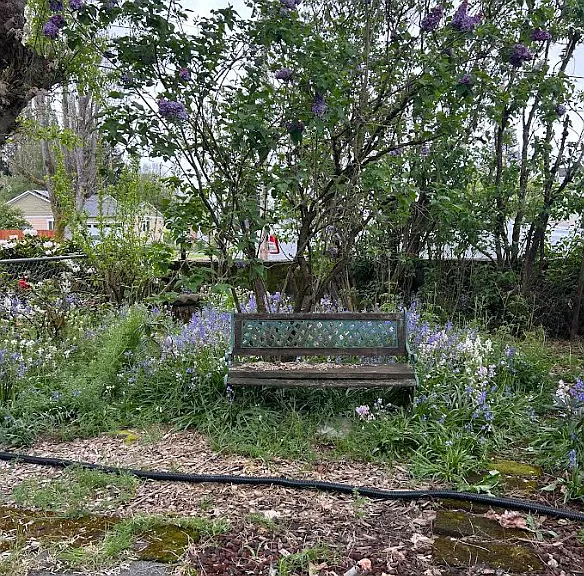 2250 32nd Ave — Photo 22
