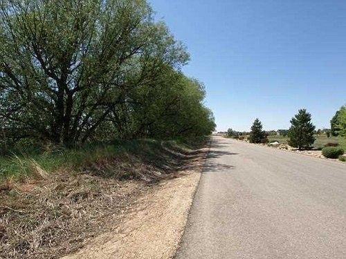 5th image of 9521 Golden Willow St Lot 20