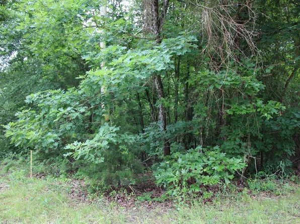 001-09520-000 State Highway 178, Lakeview, AR 72642