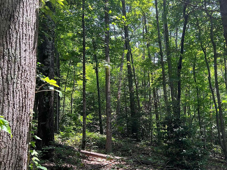 2nd image of Nightshade Ct Lot 204
