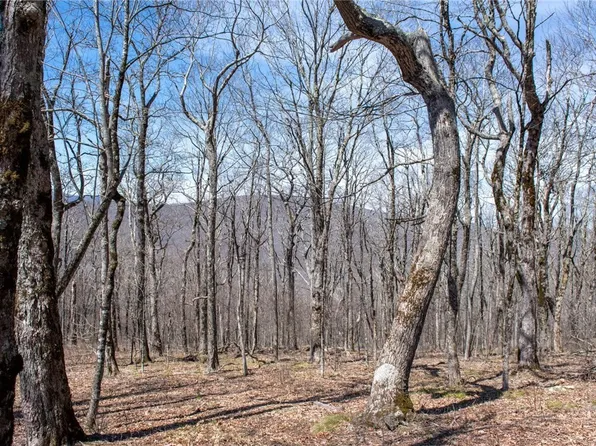 Lot #100 Elk Creek Mountain Parkway Parkway, Todd, NC 28684