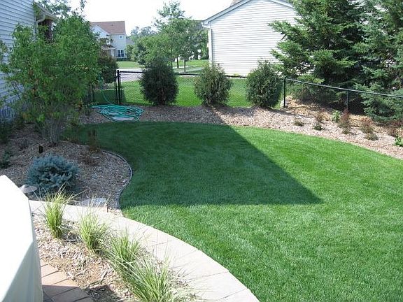 Backyard Landscaping
