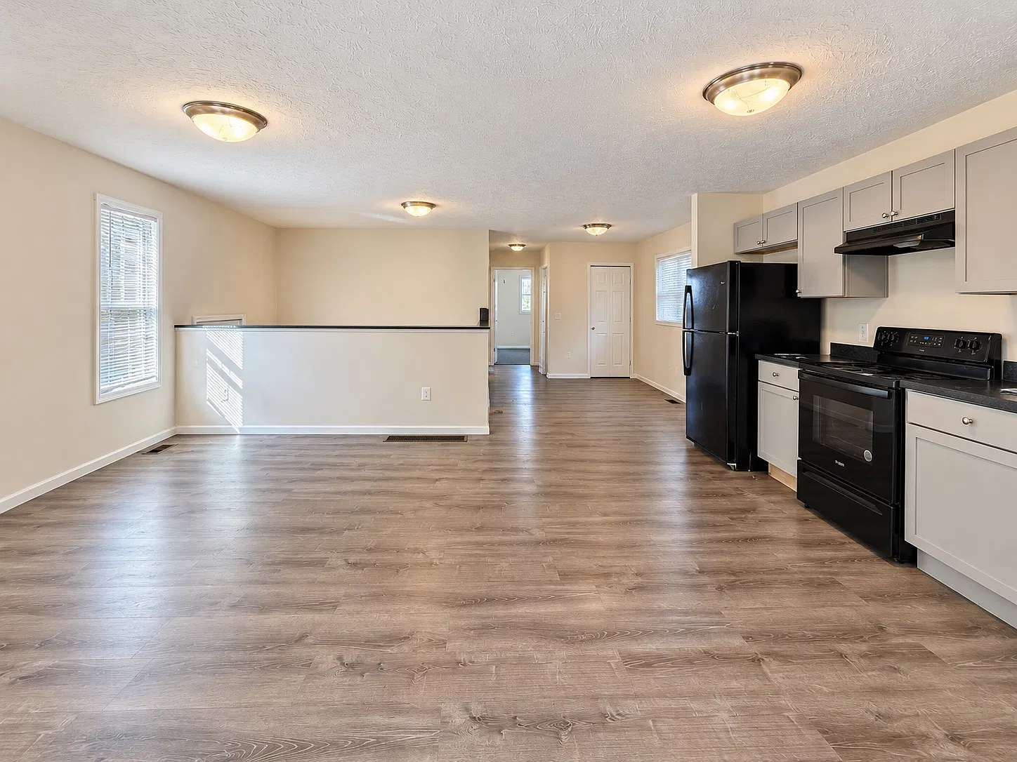 4 bed, 1150 sqft, $1,750 — Photo 2