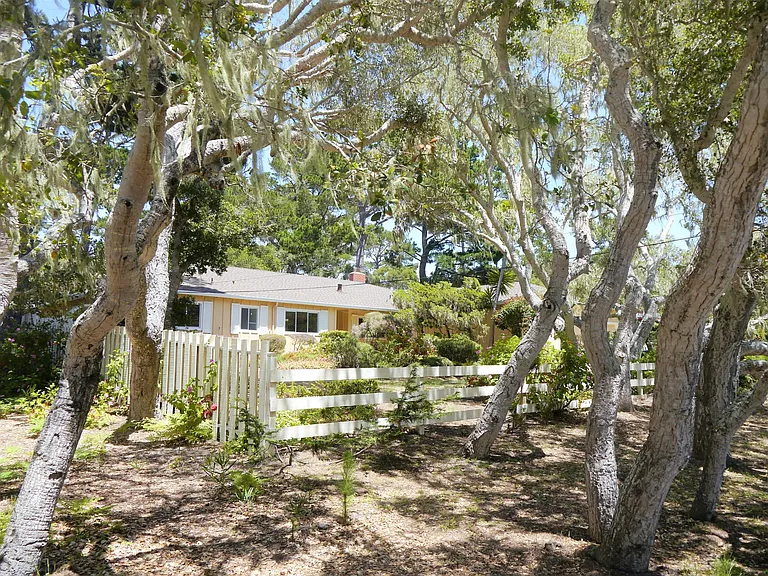 1111 Sawmill Gulch Rd — Photo 3