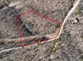 Padena Rd, Morganton, GA 30560