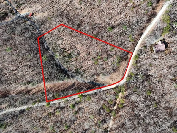 Padena Rd, Morganton, GA 30560
