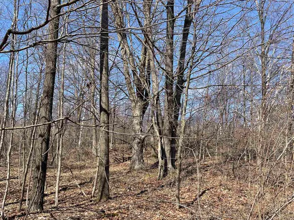 E Rock Rd, Clare, MI 48617