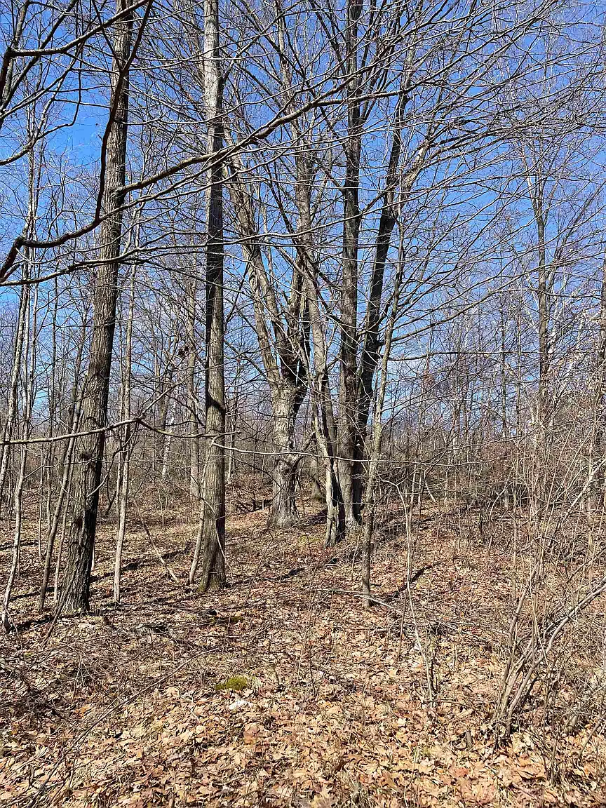E Rock Rd photo 1