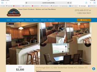 606 Tenderfoot St Unit 11, Dillon, CO 80435