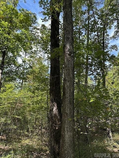 1st image of 0 Ross Hollow Rd