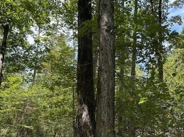 0 Ross Hollow Rd, Roland, AR 72135