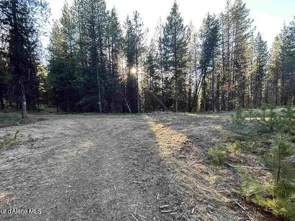 162 Coopers Ln, Elk City, ID 83525
