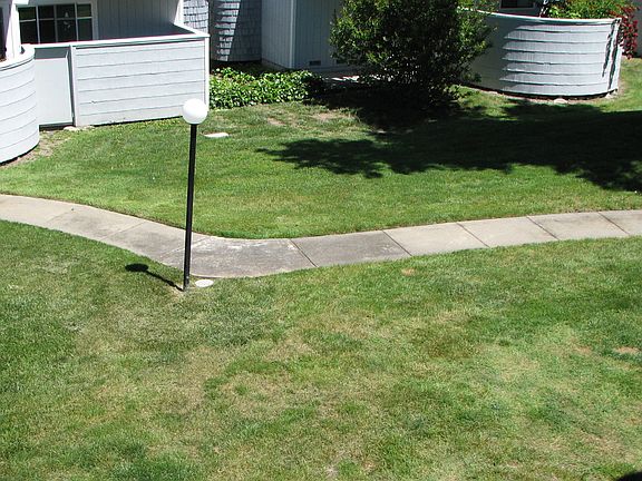 Green Space Behind Unit