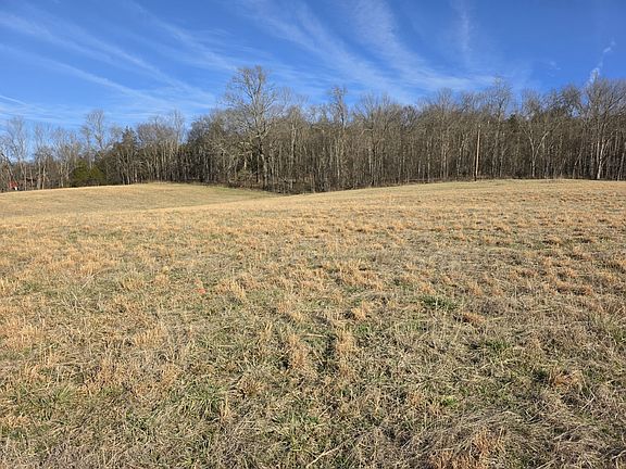 2nd image of 990 Wartrace Hwy Lot 4B