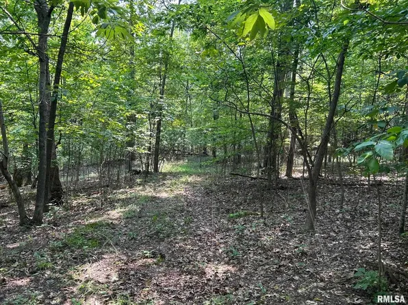 Williams Ridge Ln, Cobden, IL 62920