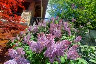 photo property thumbnail