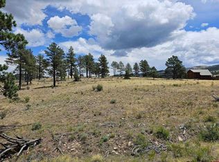 440 Rickel Cir, South Fork, CO 81154