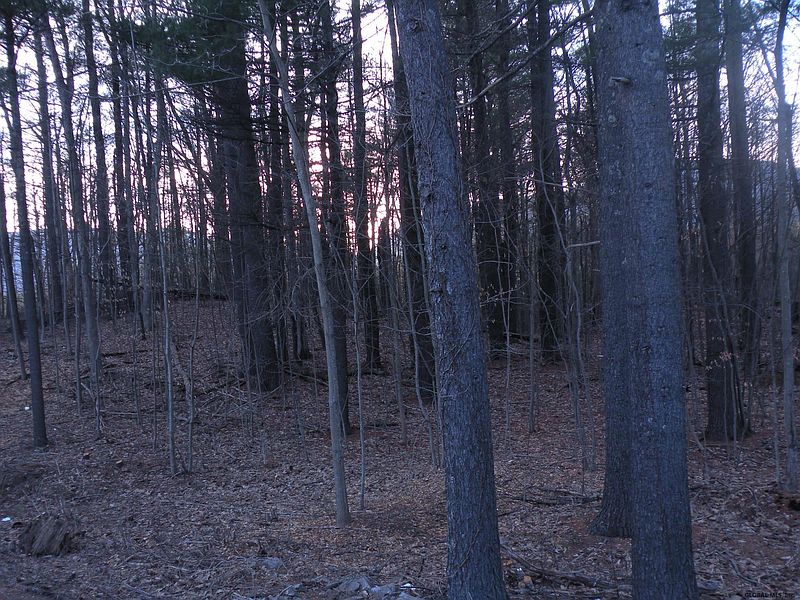 4th image of ROUTE 23A