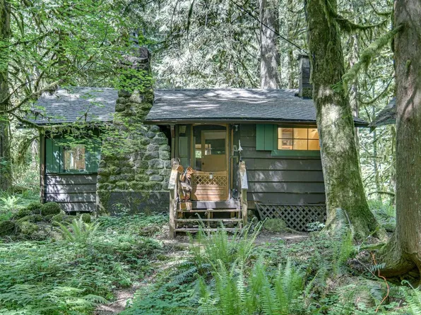 27525 E Road 20 Lot 4, Rhododendron, OR 97049