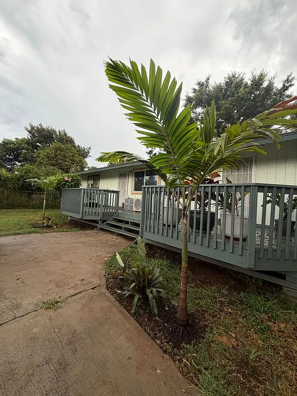 2 bed, 1.0 bath, 600 sqft, $2,400 — Photo 3