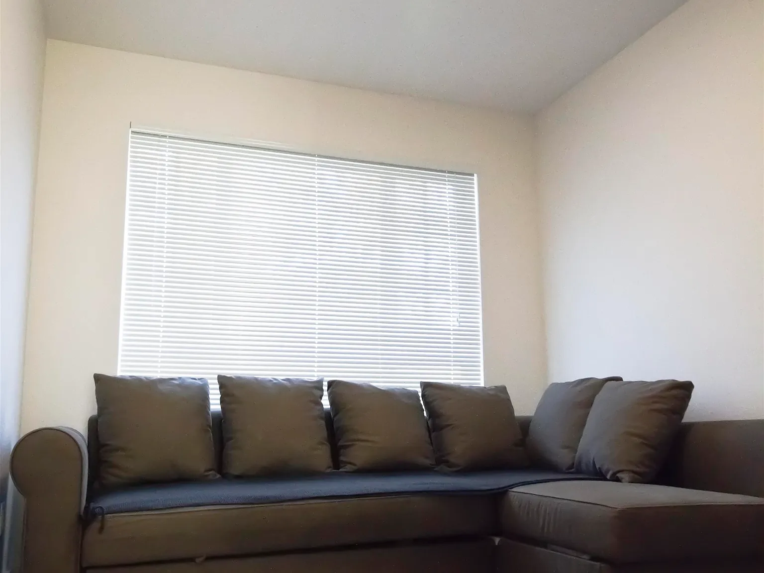 3 bed, 1450 sqft, $3,000 — Photo 4