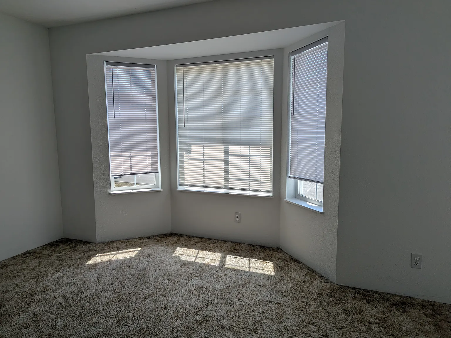 2 bed, 1.5 bath, $1,350 — Photo 4