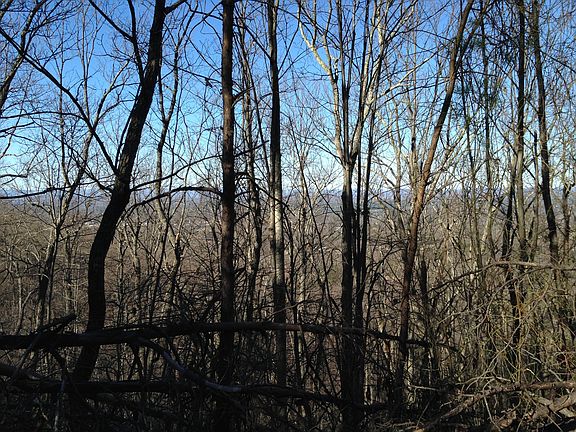 4th image of Mineral Springs Mountain Ave
