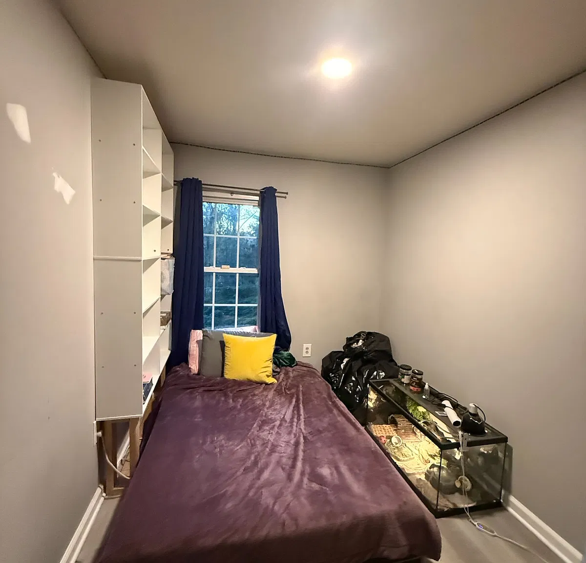 3 bed, 1.5 bath, 1183 sqft, $2,500 — Photo 3