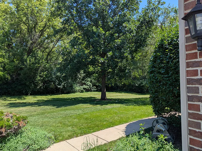 Blue Ridge Dr — Photo 4