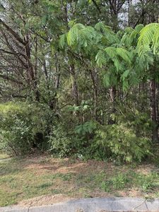 15 Seth Rd Lot 15, Pigeon Forge, TN, 37863