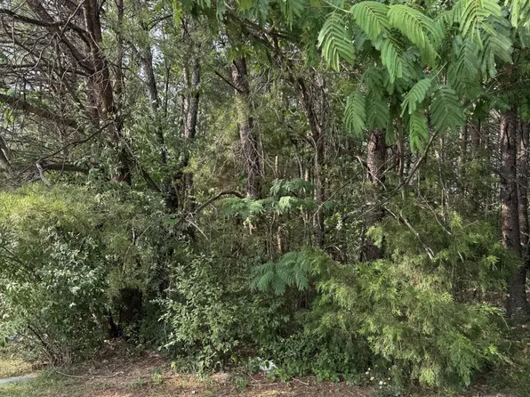 15 Seth Rd Lot 15, Pigeon Forge, TN 37863