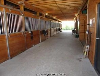 perfect for the horse lover