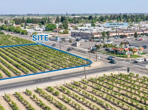 9912 S McCall Ave, Selma, CA 93662