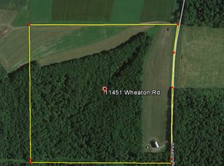 11451 Wheaton Rd, Prattsburg, NY 14873
